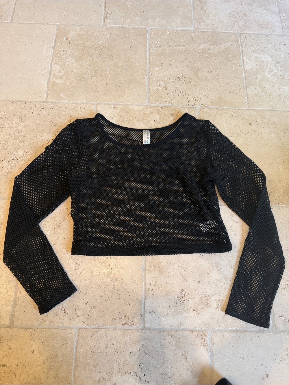Express Black Mesh Long-Sleeve Crop Top
